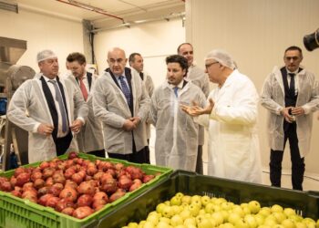 Hapet Fabrika “Frudo” për përpunimin e frutave dhe perimeve