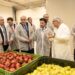 Hapet Fabrika “Frudo” për përpunimin e frutave dhe perimeve