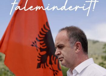 Votimi i përsëritur në qendren votuese Drume, Forumi shqiptar fiton më së shumti vota