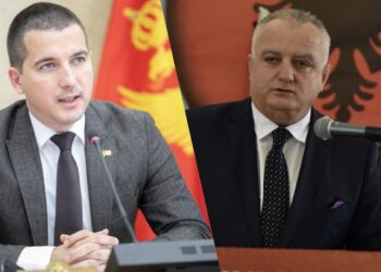 Për Beçiqin është e papranueshme UDSh-ja e Mehmet Zenkes