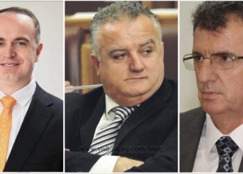 Zenka në klubin e deputetëve shqiptarë, bashkë me Gjeloshaj dhe Camaj