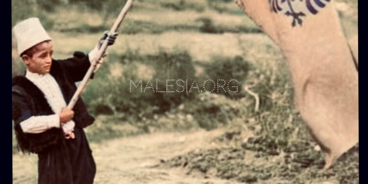 Gëzuar 28 Nëntorin, Ditën e Flamurit!