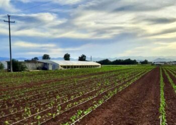 Bujqit e Malësisë i nisin letër-kërkesë kryetarit të Komunës së Tuzit