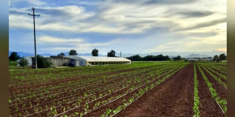 Bujqit e Malësisë i nisin letër-kërkesë kryetarit të Komunës së Tuzit