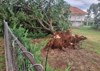 Stuhia shkakton dëme për bujqësinë
