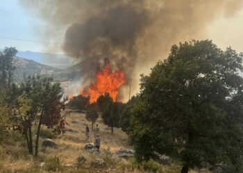 Zjarri vazhdon të jetë aktiv në zonën malore në Malësi, në fshatin Skorraq rrezikohen shtëpitë