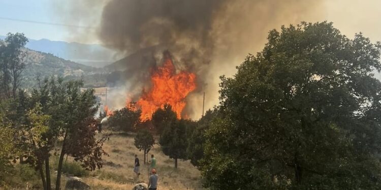 Zjarri vazhdon të jetë aktiv në zonën malore në Malësi, në fshatin Skorraq rrezikohen shtëpitë