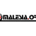 Malesia.org – 26 vite në shërbim të fjalës, të vërtetës dhe Malësisë